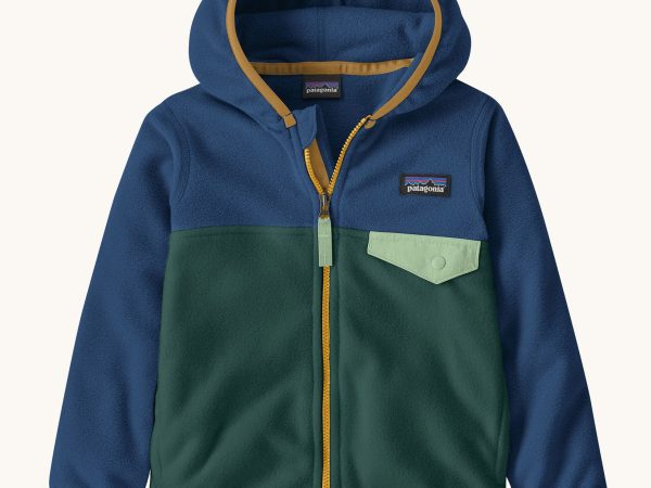 Patagonia Little Kids Micro D Snap-T Jacket - Cascade Green