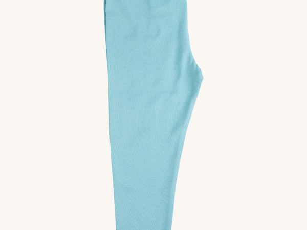Pigeon Organics Leggings - Turquoise