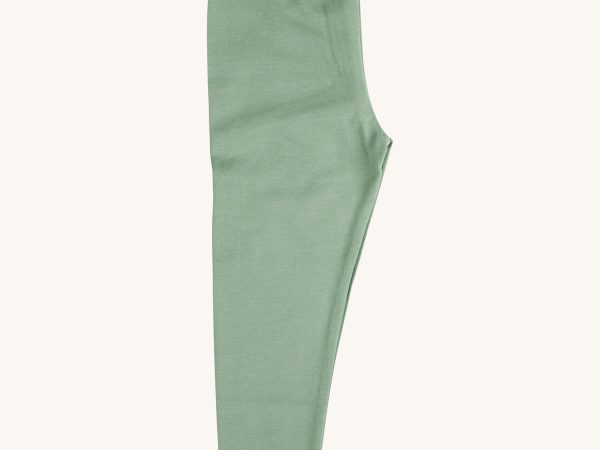 Pigeon Organics Leggings - Green