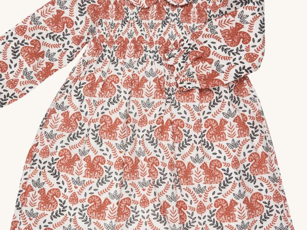 Pigeon Organics Smock Dress - Squirrel