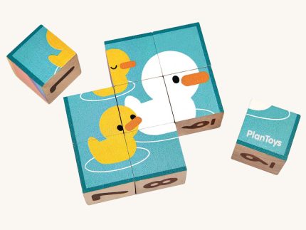 PlanToys Puzzle Cubes