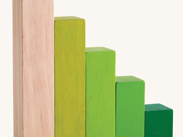Plan Toys Ordering Blocks