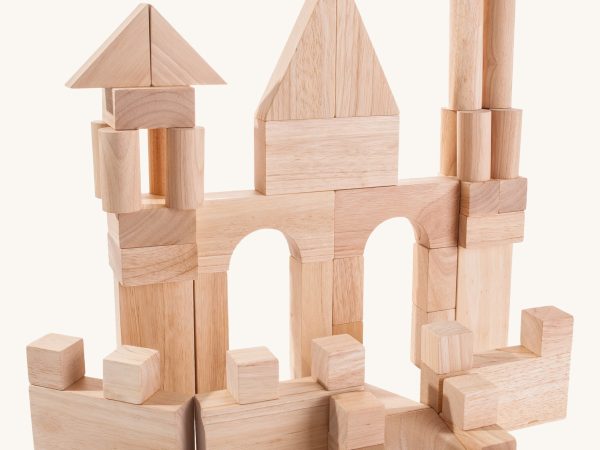 Plan Toys 50 Unit Blocks