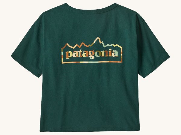 Patagonia Women's Easy Cut Responsibili-Tee - Unity Fitz  / Cascade Green