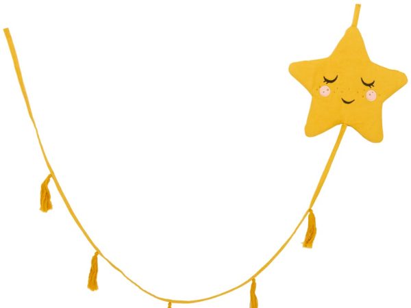 Roommate Star Garland