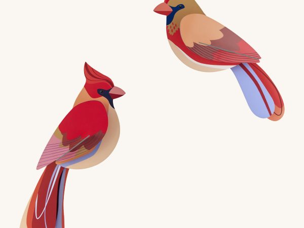 Studio Roof Cardboard Model - Cardinals
