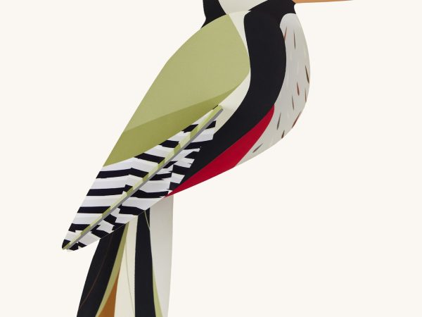 Studio Roof Cardboard Model - Woodpecker
