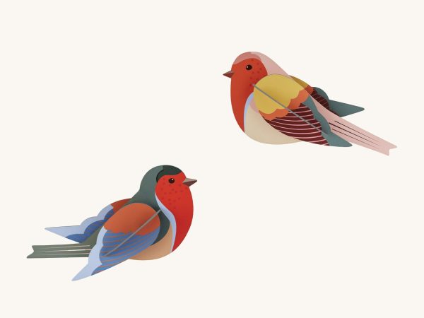 Studio Roof Cardboard Model - Robins