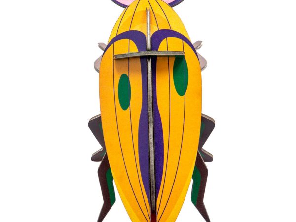 Studio Roof Click Beetle