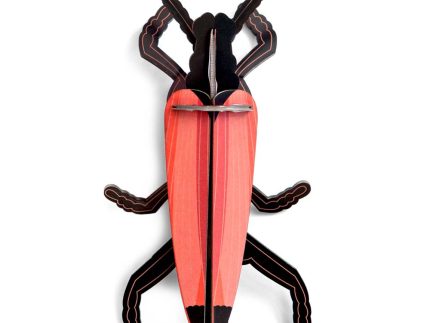 Studio Roof Longhorn Beetle