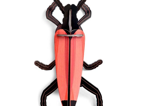 Studio Roof Longhorn Beetle