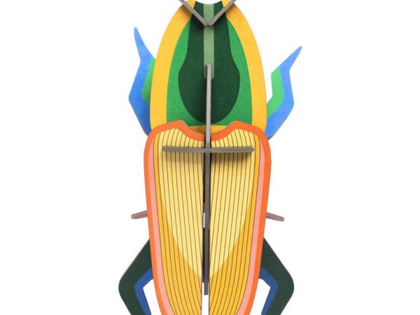 Studio Roof Madagascar Beetle