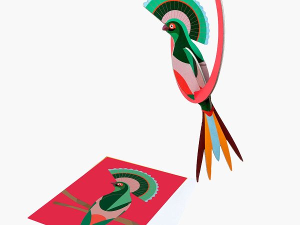 Studio Roof Pop Out Card, Paradise Birds Swinging Gili