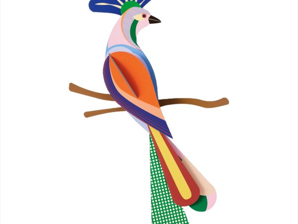 Studio Roof Paradise Bird Cardboard Model - Tinjil