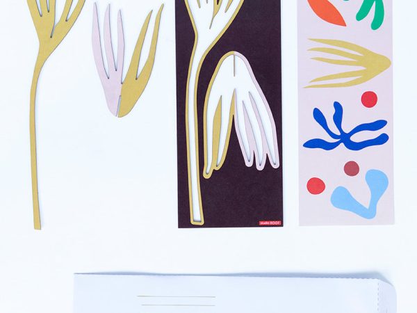Studio Roof Pop Out Cards - Amelia