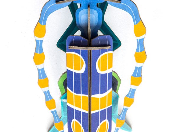 Studio Roof Rosalia Beetle