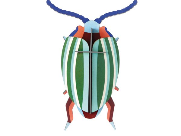 Studio Roof Rainbow Leaf Beetle