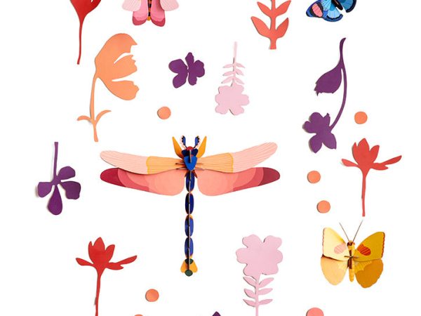 Studio Roof Wall of Curiosities - Insect Connoisseur