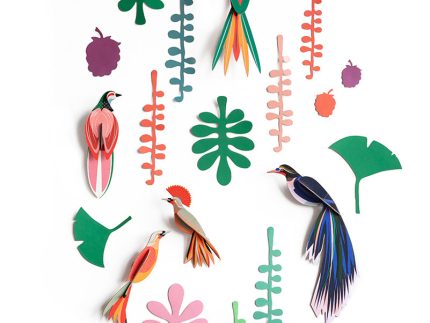 Studio Roof Wall of Curiosities - Bird Observer