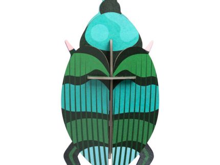 Studio Roof Weevil Beetle