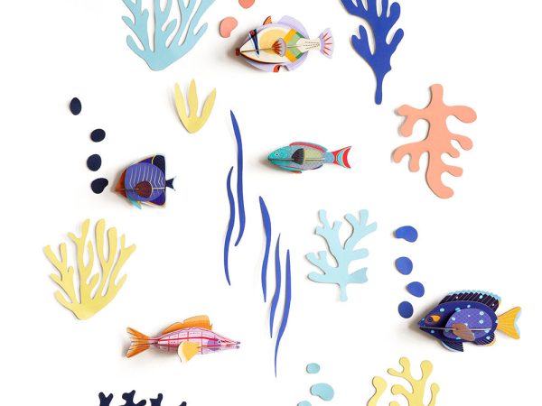 Studio Roof Wall of Curiosities - Fish Hobbyist