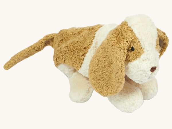 Senger Small Cuddly Dog