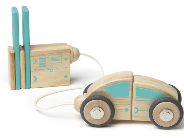 Tegu Circuit Racer Set