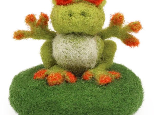 The Makerss - Amiguwoolli Frog Mini Needle Felt Kit