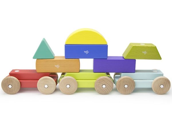 Tegu Magnetic Shape Train - Rainbow