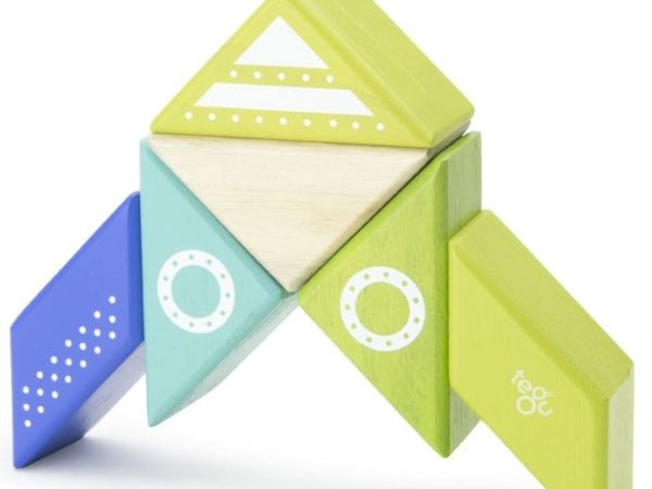Tegu Spaceship Travel Pal