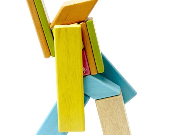 Tegu Tints 14 Piece Set