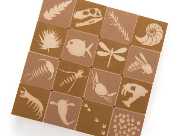 Uncle Goose Wooden Fossil Toy Blocks