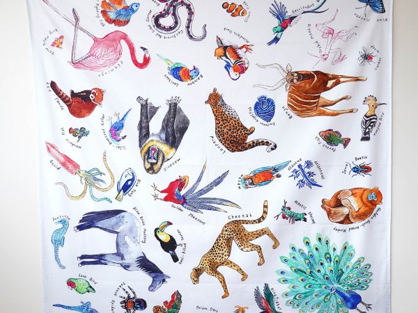 Wonderie Play Cloth - Kingdom Of Rainbow Animals