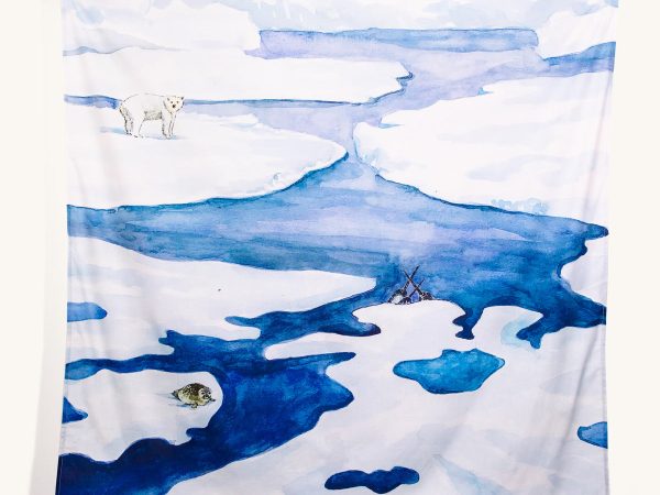 Wondercloths Play Cloth - The Frozen Land