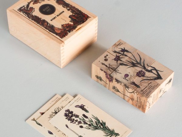 Wooden Story Puzzle Blocks - Plants